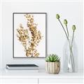 Picture of Dried Eucalyptus   _GroupedProduct_Rectangle_Portrait_Photography _GroupedProduct_Rectangle_Portrait_Canvas_Framed_