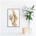 Picture of Dried Eucalyptus   _GroupedProduct_Rectangle_Portrait_Photography _GroupedProduct_Rectangle_Portrait_Canvas_Framed_