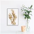 Picture of Dried Eucalyptus   _GroupedProduct_Rectangle_Portrait_Photography _GroupedProduct_Rectangle_Portrait_Canvas_Framed_