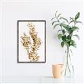 Picture of Dried Eucalyptus   _GroupedProduct_Rectangle_Portrait_Photography _GroupedProduct_Rectangle_Portrait_Canvas_Framed_