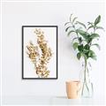 Picture of Dried Eucalyptus   _GroupedProduct_Rectangle_Portrait_Photography _GroupedProduct_Rectangle_Portrait_Canvas_Framed_