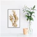 Picture of Dried Eucalyptus   _GroupedProduct_Rectangle_Portrait_Photography _GroupedProduct_Rectangle_Portrait_Canvas_Framed_