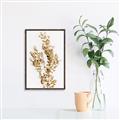 Picture of Dried Eucalyptus   _GroupedProduct_Rectangle_Portrait_Photography _GroupedProduct_Rectangle_Portrait_Canvas_Framed_