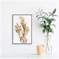Picture of Dried Eucalyptus   _GroupedProduct_Rectangle_Portrait_Photography _GroupedProduct_Rectangle_Portrait_Canvas_Framed_