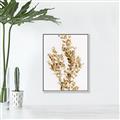 Picture of Dried Eucalyptus   _GroupedProduct_Rectangle_Portrait_Photography _GroupedProduct_Rectangle_Portrait_Canvas_Framed_