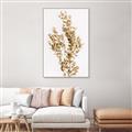 Picture of Dried Eucalyptus   _GroupedProduct_Rectangle_Portrait_Photography _GroupedProduct_Rectangle_Portrait_Canvas_Framed_