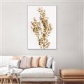 Picture of Dried Eucalyptus   _GroupedProduct_Rectangle_Portrait_Photography _GroupedProduct_Rectangle_Portrait_Canvas_Framed_