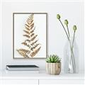 Picture of Dried Fern Leaf  _GroupedProduct_Rectangle_Portrait_Photography _GroupedProduct_Rectangle_Portrait_Canvas_Framed_