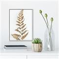 Picture of Dried Fern Leaf  _GroupedProduct_Rectangle_Portrait_Photography _GroupedProduct_Rectangle_Portrait_Canvas_Framed_