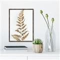 Picture of Dried Fern Leaf  _GroupedProduct_Rectangle_Portrait_Photography _GroupedProduct_Rectangle_Portrait_Canvas_Framed_