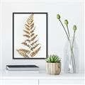 Picture of Dried Fern Leaf  _GroupedProduct_Rectangle_Portrait_Photography _GroupedProduct_Rectangle_Portrait_Canvas_Framed_