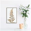 Picture of Dried Fern Leaf  _GroupedProduct_Rectangle_Portrait_Photography _GroupedProduct_Rectangle_Portrait_Canvas_Framed_