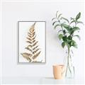 Picture of Dried Fern Leaf  _GroupedProduct_Rectangle_Portrait_Photography _GroupedProduct_Rectangle_Portrait_Canvas_Framed_