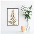 Picture of Dried Fern Leaf  _GroupedProduct_Rectangle_Portrait_Photography _GroupedProduct_Rectangle_Portrait_Canvas_Framed_