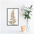 Picture of Dried Fern Leaf  _GroupedProduct_Rectangle_Portrait_Photography _GroupedProduct_Rectangle_Portrait_Canvas_Framed_