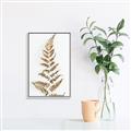 Picture of Dried Fern Leaf  _GroupedProduct_Rectangle_Portrait_Photography _GroupedProduct_Rectangle_Portrait_Canvas_Framed_