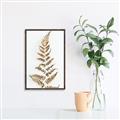 Picture of Dried Fern Leaf  _GroupedProduct_Rectangle_Portrait_Photography _GroupedProduct_Rectangle_Portrait_Canvas_Framed_