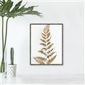 Picture of Dried Fern Leaf  _GroupedProduct_Rectangle_Portrait_Photography _GroupedProduct_Rectangle_Portrait_Canvas_Framed_