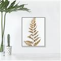 Picture of Dried Fern Leaf  _GroupedProduct_Rectangle_Portrait_Photography _GroupedProduct_Rectangle_Portrait_Canvas_Framed_