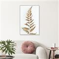 Picture of Dried Fern Leaf  _GroupedProduct_Rectangle_Portrait_Photography _GroupedProduct_Rectangle_Portrait_Canvas_Framed_