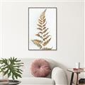 Picture of Dried Fern Leaf  _GroupedProduct_Rectangle_Portrait_Photography _GroupedProduct_Rectangle_Portrait_Canvas_Framed_