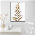 Picture of Dried Fern Leaf  _GroupedProduct_Rectangle_Portrait_Photography _GroupedProduct_Rectangle_Portrait_Canvas_Framed_