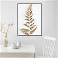 Picture of Dried Fern Leaf  _GroupedProduct_Rectangle_Portrait_Photography _GroupedProduct_Rectangle_Portrait_Canvas_Framed_