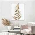 Picture of Dried Fern Leaf  _GroupedProduct_Rectangle_Portrait_Photography _GroupedProduct_Rectangle_Portrait_Canvas_Framed_