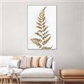 Picture of Dried Fern Leaf  _GroupedProduct_Rectangle_Portrait_Photography _GroupedProduct_Rectangle_Portrait_Canvas_Framed_