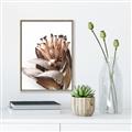 Picture of Dried Flower I  _GroupedProduct_Rectangle_Portrait_Photography _GroupedProduct_Rectangle_Portrait_Canvas_Framed_