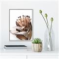 Picture of Dried Flower I  _GroupedProduct_Rectangle_Portrait_Photography _GroupedProduct_Rectangle_Portrait_Canvas_Framed_