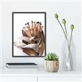 Picture of Dried Flower I  _GroupedProduct_Rectangle_Portrait_Photography _GroupedProduct_Rectangle_Portrait_Canvas_Framed_