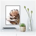 Picture of Dried Flower I  _GroupedProduct_Rectangle_Portrait_Photography _GroupedProduct_Rectangle_Portrait_Canvas_Framed_