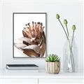 Picture of Dried Flower I  _GroupedProduct_Rectangle_Portrait_Photography _GroupedProduct_Rectangle_Portrait_Canvas_Framed_