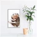 Picture of Dried Flower I  _GroupedProduct_Rectangle_Portrait_Photography _GroupedProduct_Rectangle_Portrait_Canvas_Framed_