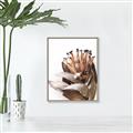 Picture of Dried Flower I  _GroupedProduct_Rectangle_Portrait_Photography _GroupedProduct_Rectangle_Portrait_Canvas_Framed_
