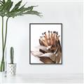 Picture of Dried Flower I  _GroupedProduct_Rectangle_Portrait_Photography _GroupedProduct_Rectangle_Portrait_Canvas_Framed_