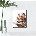 Picture of Dried Flower I  _GroupedProduct_Rectangle_Portrait_Photography _GroupedProduct_Rectangle_Portrait_Canvas_Framed_
