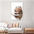 Picture of Dried Flower I  _GroupedProduct_Rectangle_Portrait_Photography _GroupedProduct_Rectangle_Portrait_Canvas_Framed_