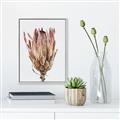 Picture of Dried Flower II _GroupedProduct_Rectangle_Portrait_Photography _GroupedProduct_Rectangle_Portrait_Canvas_Framed_
