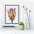 Picture of Dried Flower II _GroupedProduct_Rectangle_Portrait_Photography _GroupedProduct_Rectangle_Portrait_Canvas_Framed_