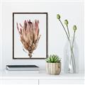 Picture of Dried Flower II _GroupedProduct_Rectangle_Portrait_Photography _GroupedProduct_Rectangle_Portrait_Canvas_Framed_