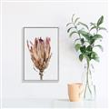 Picture of Dried Flower II _GroupedProduct_Rectangle_Portrait_Photography _GroupedProduct_Rectangle_Portrait_Canvas_Framed_