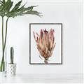 Picture of Dried Flower II _GroupedProduct_Rectangle_Portrait_Photography _GroupedProduct_Rectangle_Portrait_Canvas_Framed_