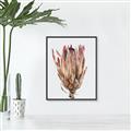 Picture of Dried Flower II _GroupedProduct_Rectangle_Portrait_Photography _GroupedProduct_Rectangle_Portrait_Canvas_Framed_
