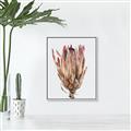 Picture of Dried Flower II _GroupedProduct_Rectangle_Portrait_Photography _GroupedProduct_Rectangle_Portrait_Canvas_Framed_