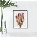 Picture of Dried Flower II _GroupedProduct_Rectangle_Portrait_Photography _GroupedProduct_Rectangle_Portrait_Canvas_Framed_