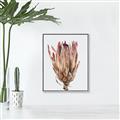 Picture of Dried Flower II _GroupedProduct_Rectangle_Portrait_Photography _GroupedProduct_Rectangle_Portrait_Canvas_Framed_