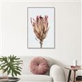 Picture of Dried Flower II _GroupedProduct_Rectangle_Portrait_Photography _GroupedProduct_Rectangle_Portrait_Canvas_Framed_
