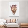 Picture of Dried Flower II _GroupedProduct_Rectangle_Portrait_Photography _GroupedProduct_Rectangle_Portrait_Canvas_Framed_